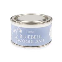 Pintail Candles Bluebell Woodland Paint Pot Candle Extra Image 1 Preview